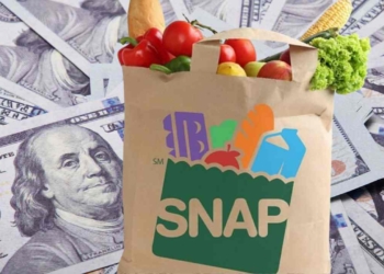 SNAP for Households 60 and Over or With a Disability
