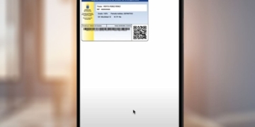Carnet de discapacidad caducado: periodos de validez y qué ocurre si vence el certificado