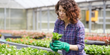 Incapacidad permanente total para trabajadora agrícola