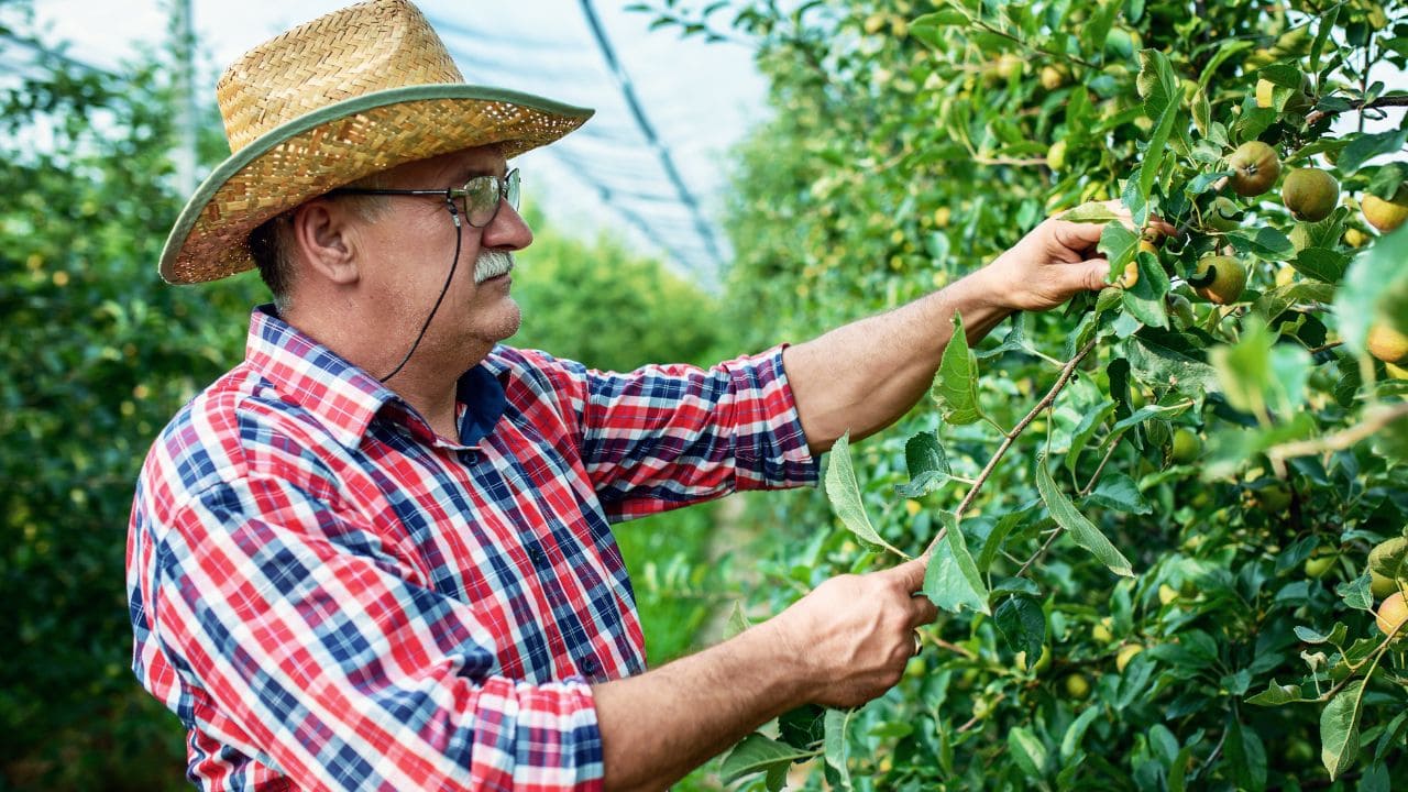 COAG Andalucía reclama la jubilación anticipada para ganaderos y agricultores
