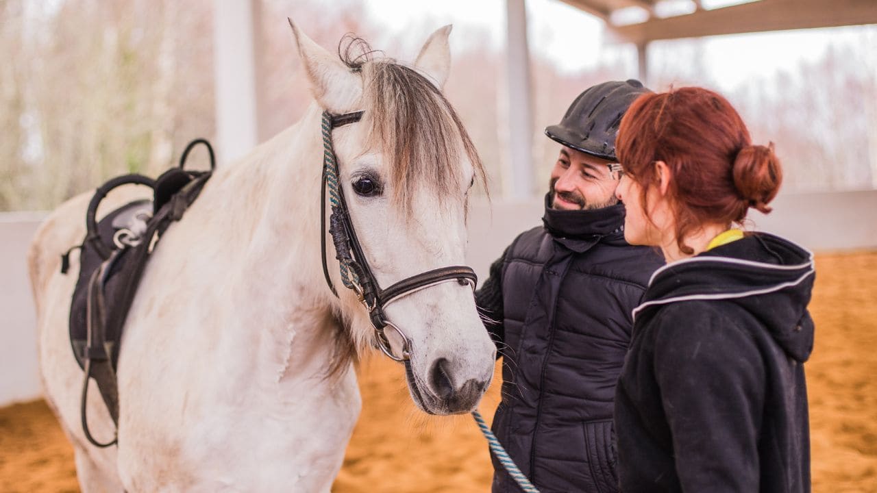 El Hospital Virgen Macarena de Sevilla impulsa las terapias con caballos para personas con discapacidad