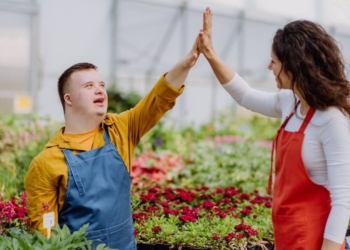 Castilla-La Mancha aprueba 31 millones de euros para impulsar el empleo de personas con discapacidad