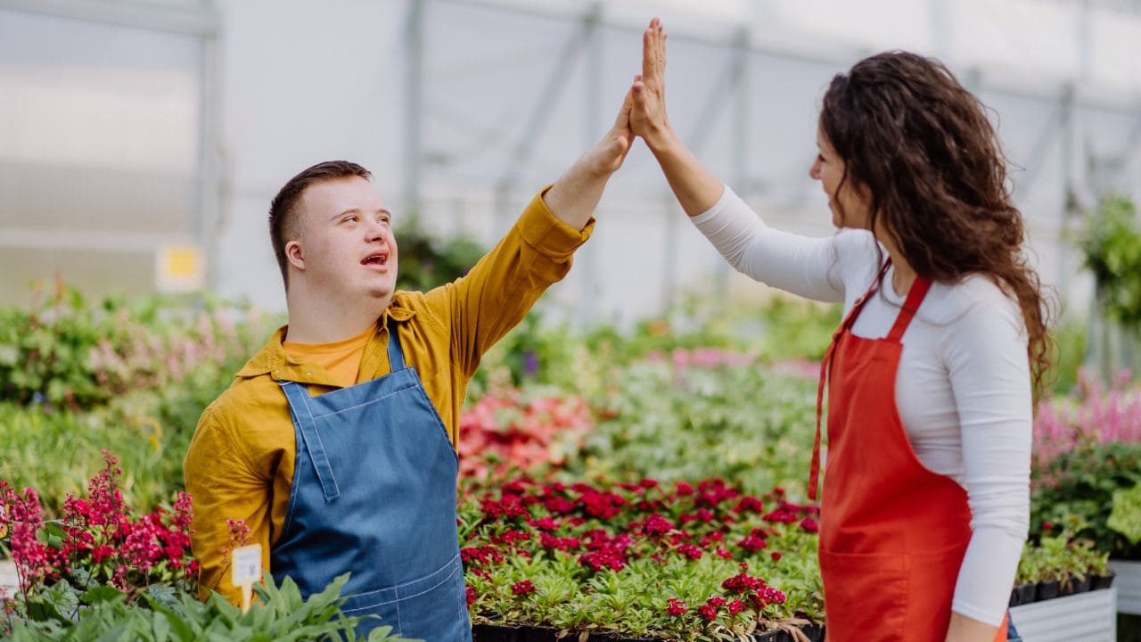 Castilla-La Mancha aprueba 31 millones de euros para impulsar el empleo de personas con discapacidad