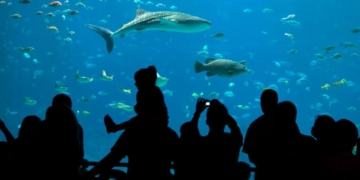 BIOPARC Acuario de Gijón accesible para las personas con discapacidad