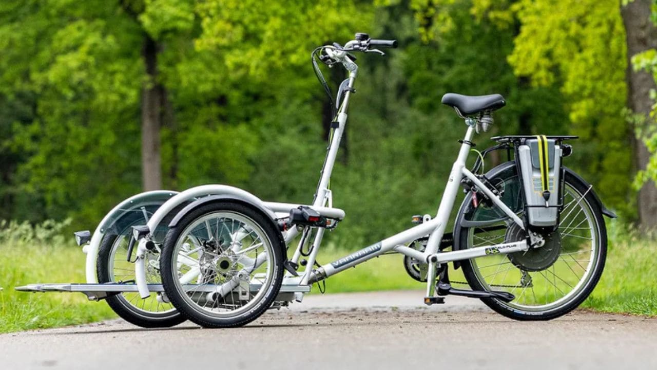 Bicicleta eléctrica adaptada para personas mayores y personas con discapacidad