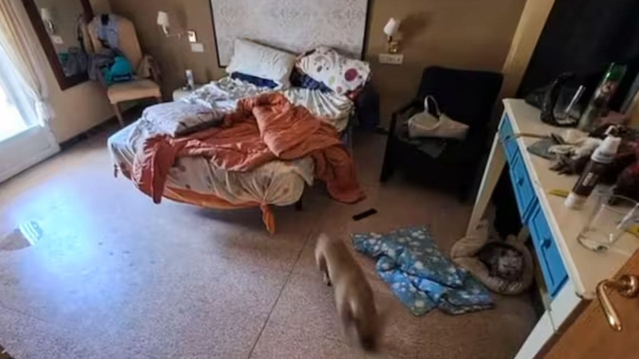 Centro ilegal de cuidado de personas dependientes