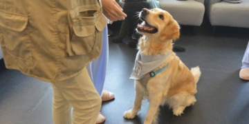 Terapia asistida con perros en el Hospital Público de Torrejón