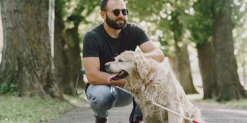 Nueva deducción fiscal en Andalucía para personas con perros de asistencia