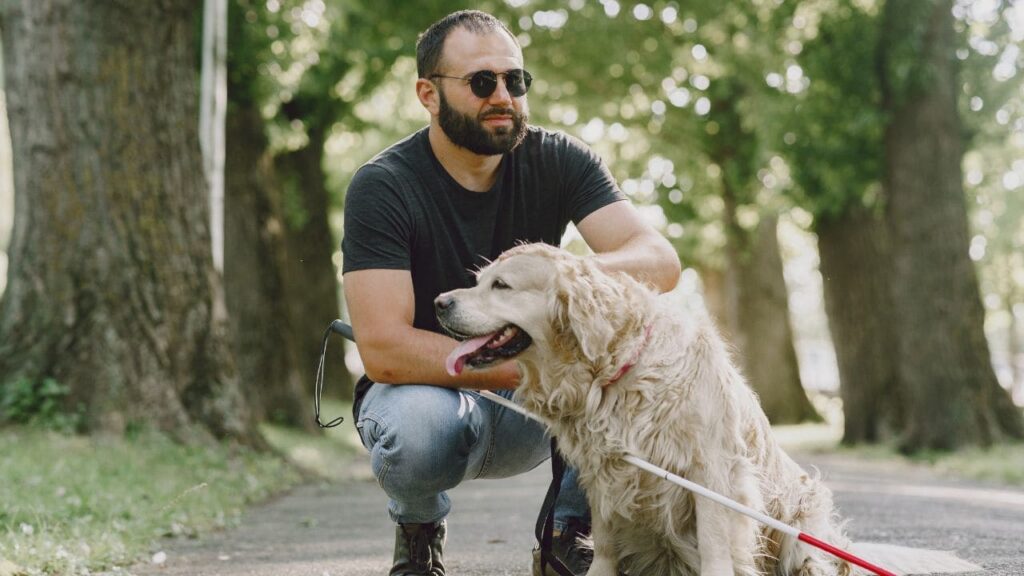 Andalucía anuncia una nueva deducción fiscal para personas que convivan con un perro de asistencia