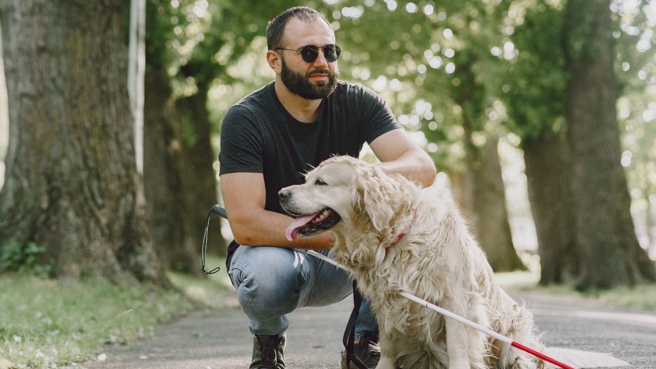 Andalucía anuncia una nueva deducción fiscal para personas que convivan con un perro de asistencia