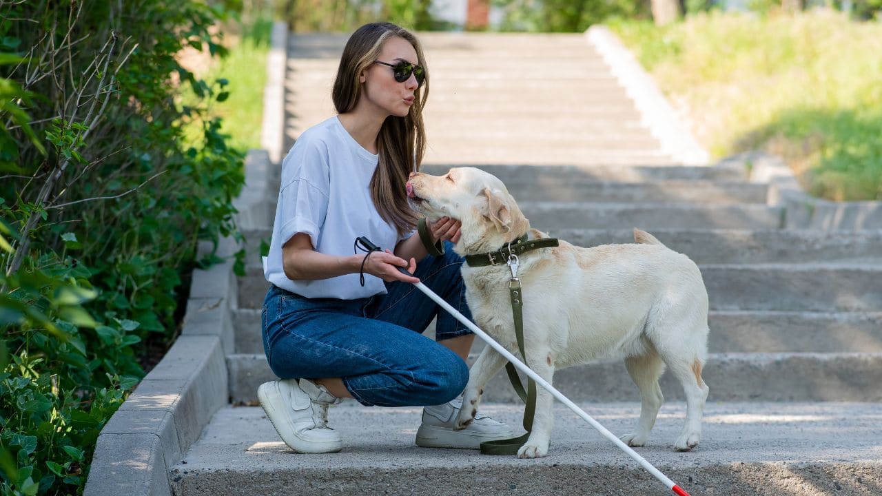 Nueva deducción fiscal en Andalucía para personas con perros de asistencia