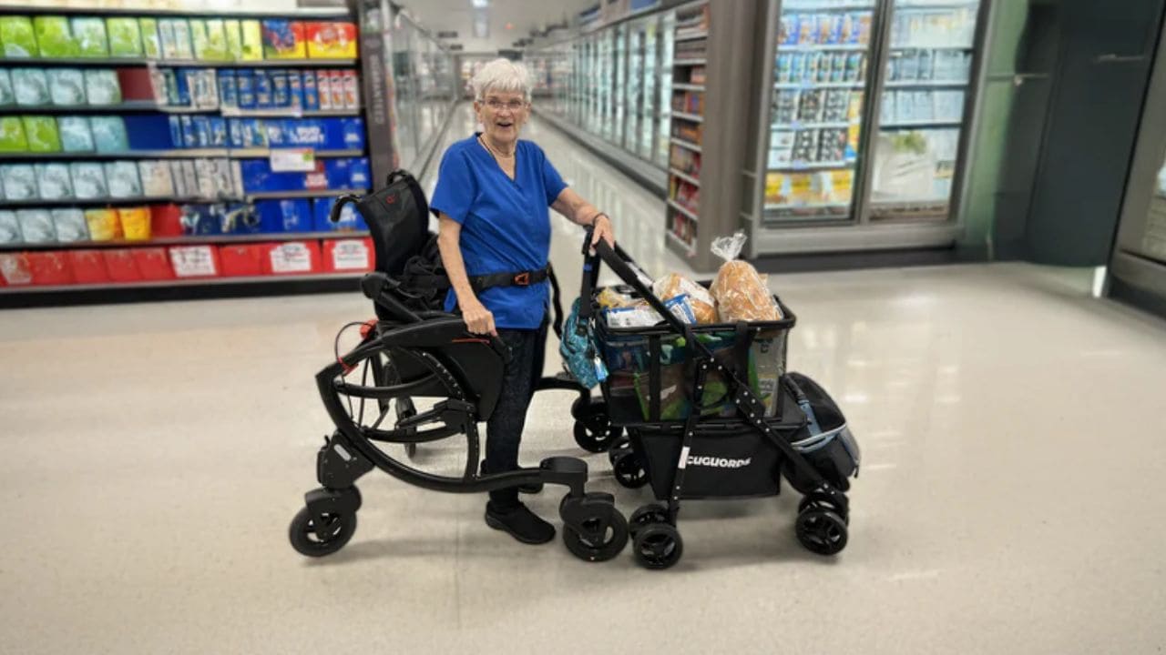 Silla de ruedas 'Standard Zeen' para personas con movilidad reducida