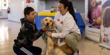 Impacto positivo de los perros de terapia en niños con discapacidad
