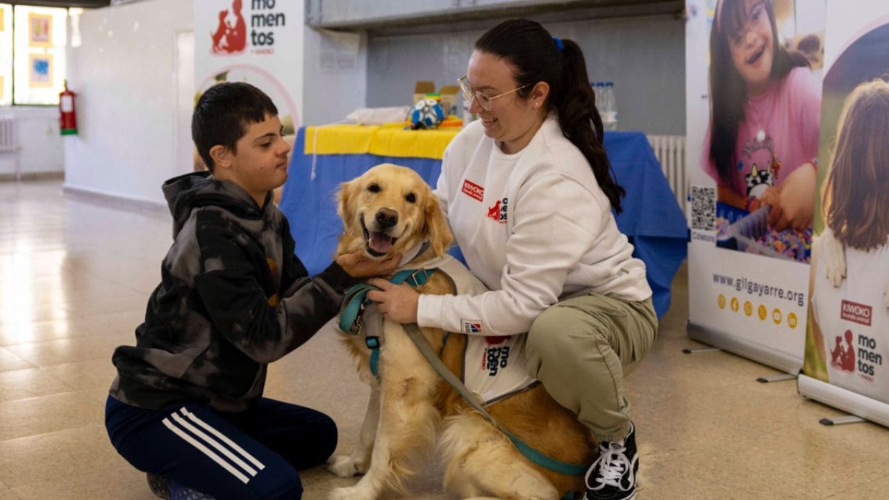 Impacto positivo de los perros de terapia en niños con discapacidad