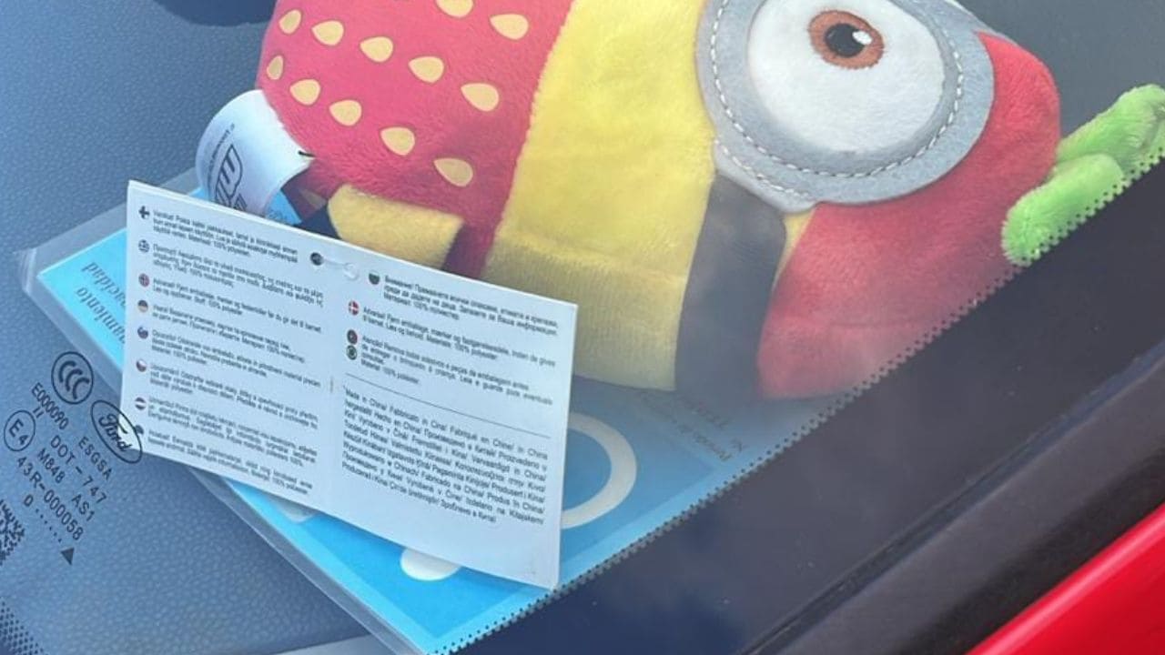 Conductor tapa la tarjeta PMR con un peluche