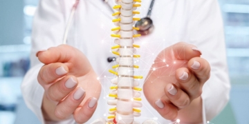 Investigadores logran transformar la grasa corporal en hueso para curar fracturas por osteoporosis