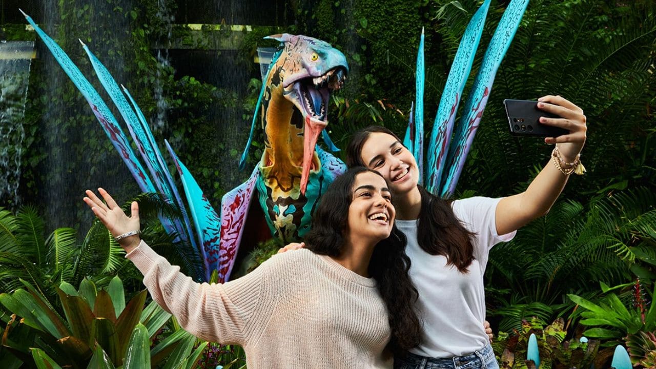 'Avatar: The Experience', una actividad accesible para personas en silla de ruedas