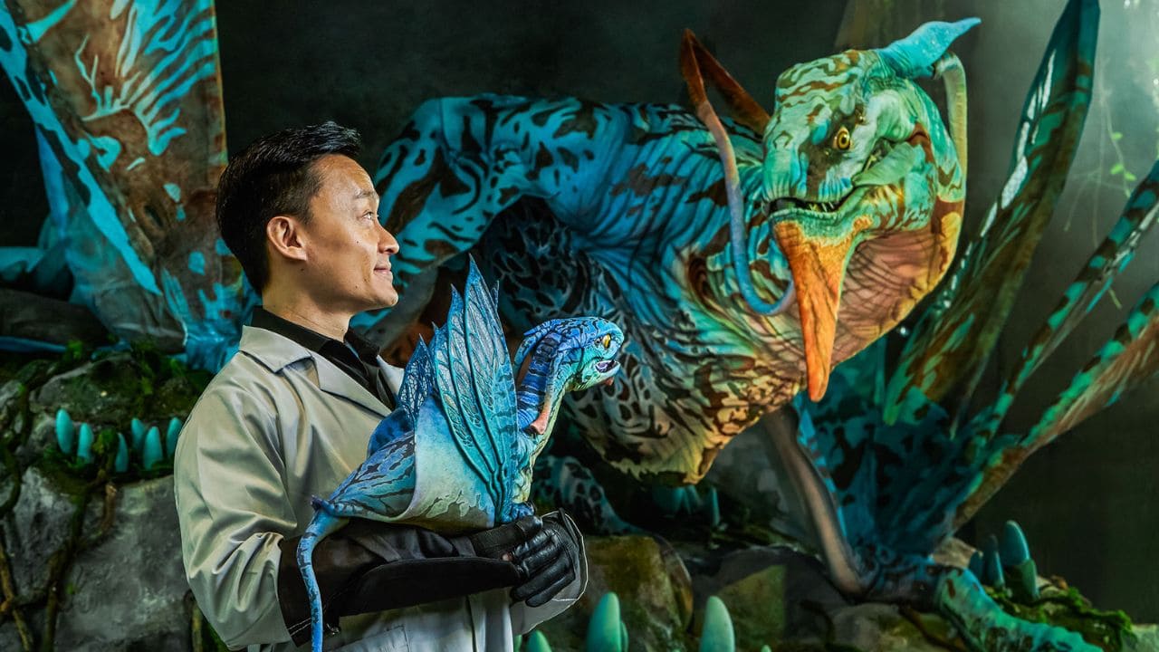 'Avatar: The Experience', una actividad accesible para personas en silla de ruedas