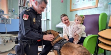 Guía para mejorar la intervención policial en casos con personas con discapacidad intelectual