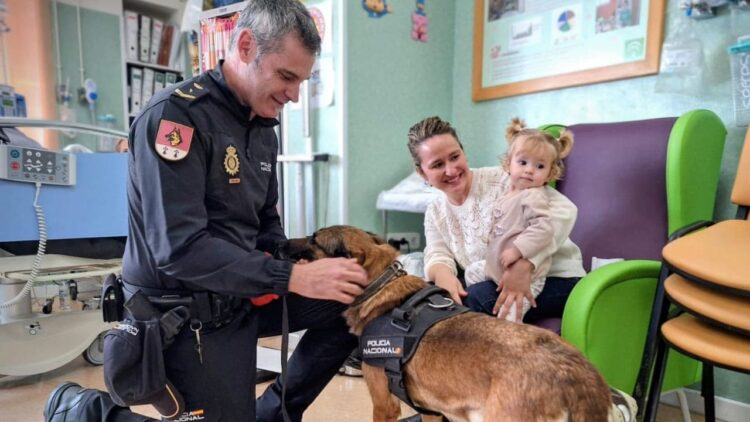 Guía para mejorar la intervención policial en casos con personas con discapacidad intelectual