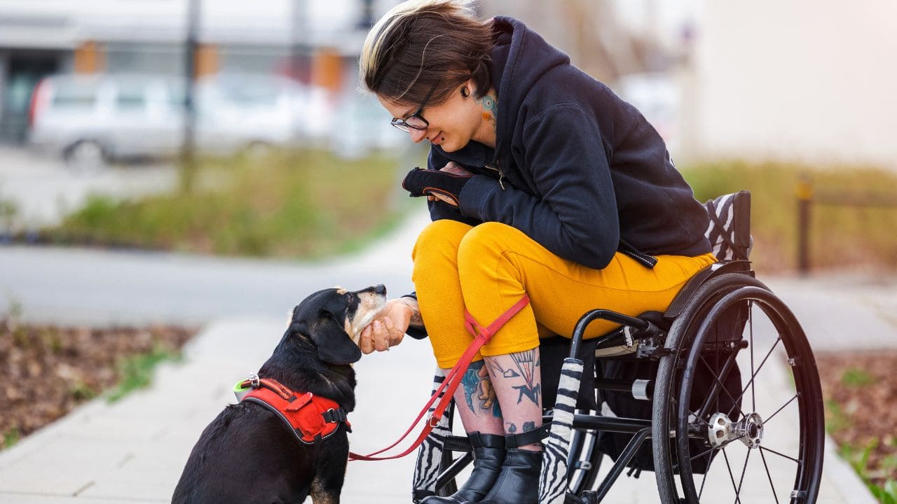 Grado de discapacidad para cobrar la pensión no contributiva