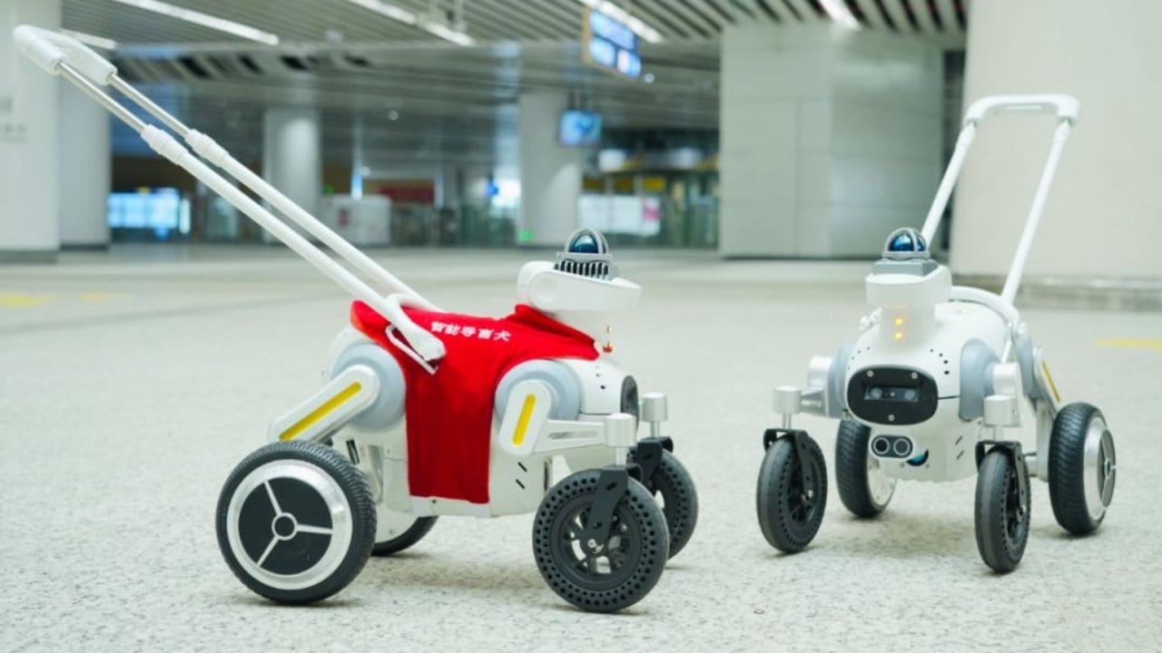 Xiaosuan, primer perro guía robótico del mundo