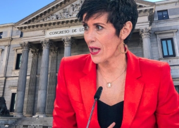 Revision IMV Seguridad Social