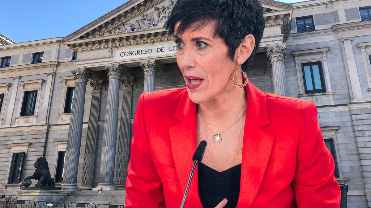 Revision IMV Seguridad Social