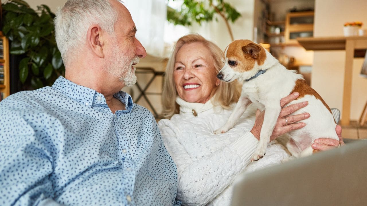El IMSERSO aclara la posibilidad sobre que los jubilados viajen acompañados de sus mascotas