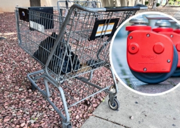 Estados Unidos multará con 1.000 dólares a los supermercados y usuarios por el mal uso de los carros de la compra