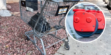 Estados Unidos multará con 1.000 dólares a los supermercados y usuarios por el mal uso de los carros de la compra