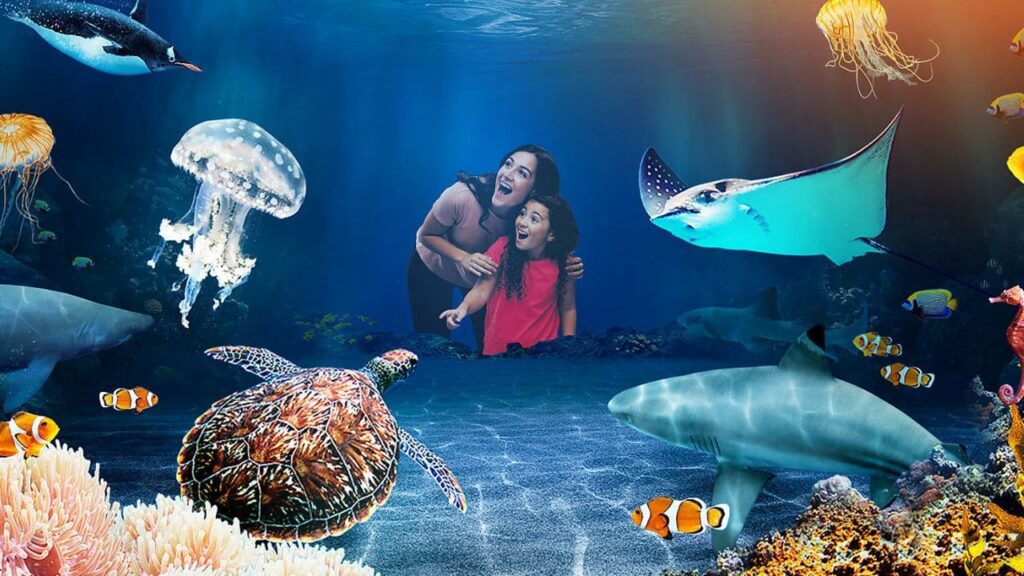 Sea Life Benalmádena avanza en accesibilidad incorporando la Lengua de Signos para personas con discapacidad auditiva