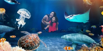 Sea Life Benalmádena avanza en accesibilidad incorporando la Lengua de Signos para personas con discapacidad auditiva