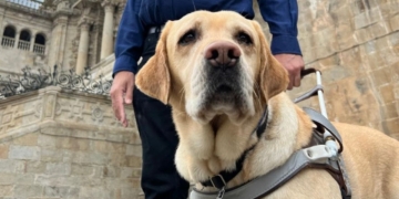 Calo, perro guía de Jonatan Armengol