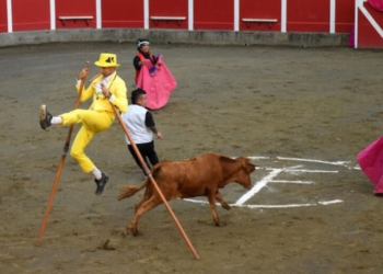 El Gobierno prohíbe los espectáculos taurinos que denigren a las personas con discapacidad