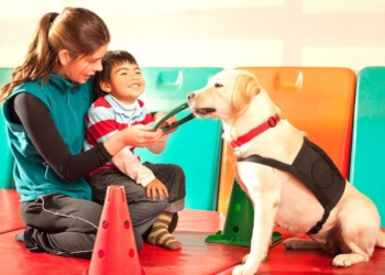 Los beneficios de la terapia con perros de asistencia en la rehabilitación de personas con parálisis cerebral