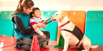 Los beneficios de la terapia con perros de asistencia en la rehabilitación de personas con parálisis cerebral