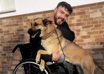 Luippi y el deseo de hacer un mundo más accesible para personas con discapacidad