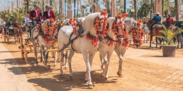 Accesibilidad en la Feria del Caballo de Jerez 2026