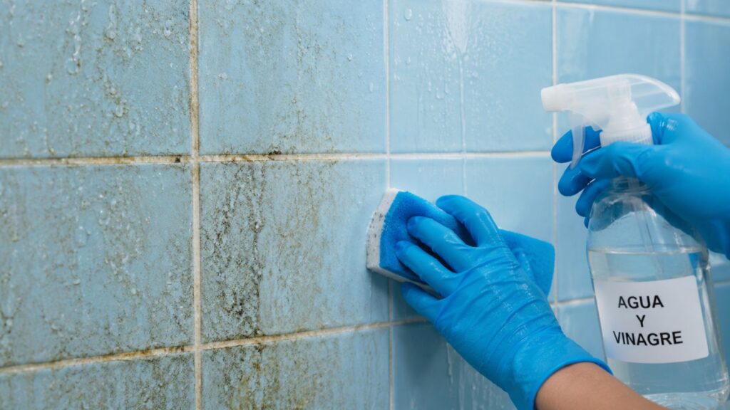 7 trucos para limpiar el baño con vinagre cómo eliminar la cal, el sarro y las manchas sin productos químicos