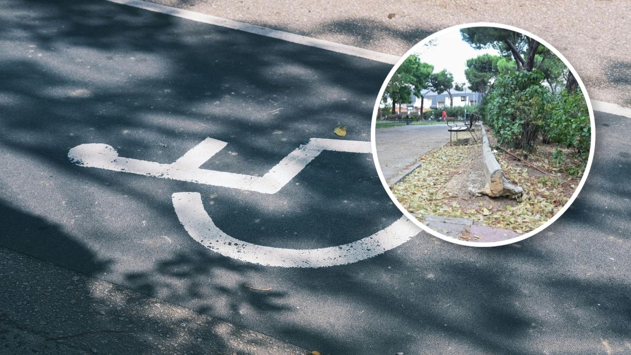 Madrid invertirá 784.000 euros en derribar las barreras arquitectónucas en este parque