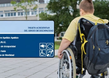 Ayudas para alumnos con un grado de discapacidad igual o superior al 25%