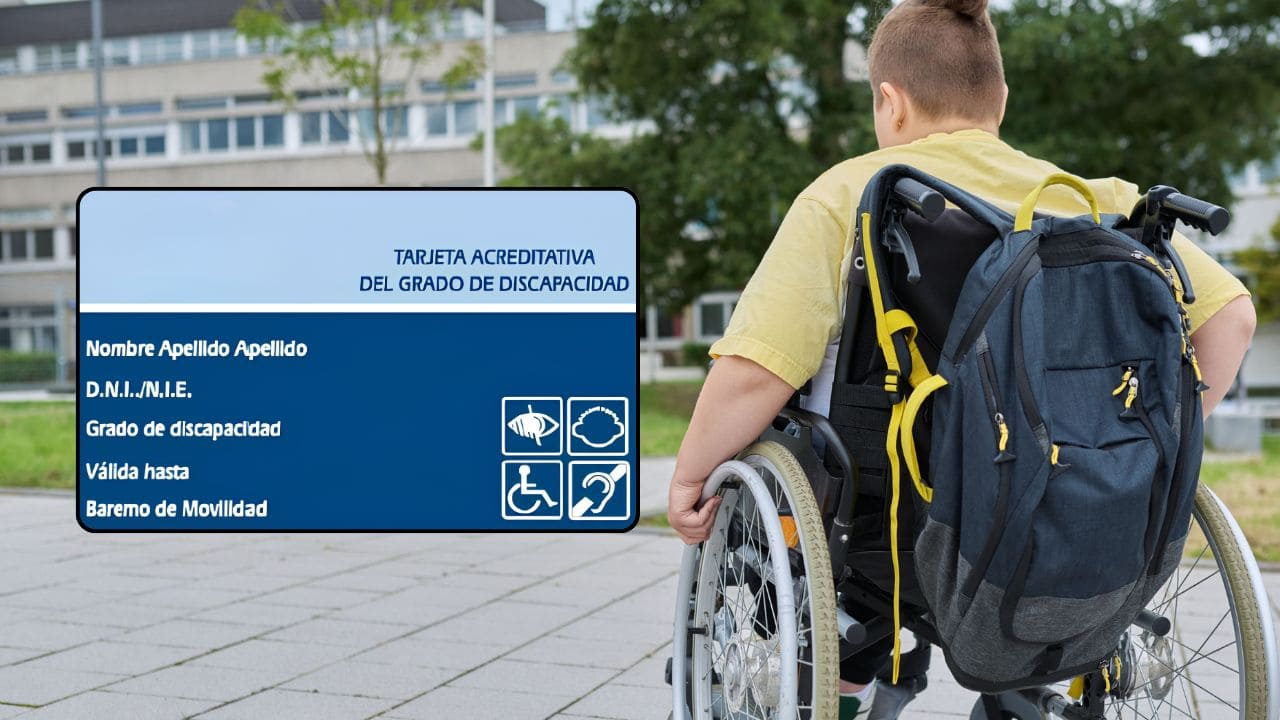 Ayudas para alumnos con un grado de discapacidad igual o superior al 25%