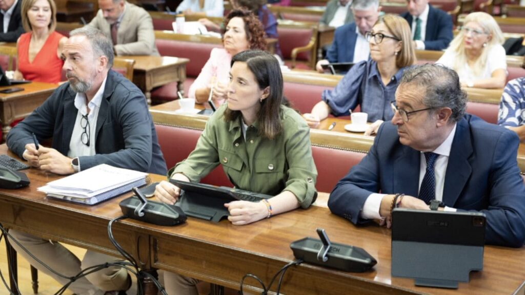 El Senado aprueba la reforma de las leyes de Dependencia y Discapacidad tras analizar 150 enmiendas
