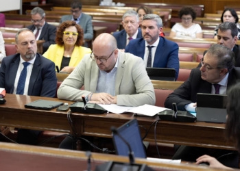 El Senado avanza en el endurecimiento de las sanciones a empresas por incumplir la cuota de reserva para empleados con discapacidad